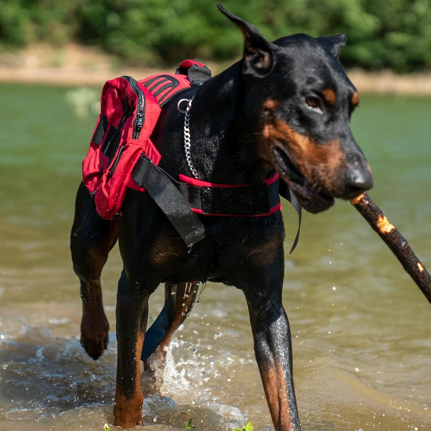 Large Dog Backpack - Adjustable Tactical Saddle Bag with Side Pockets for Hiking, Travel, Camping, and Training - Suitable for Small, Medium, and Large Dogs - Red M