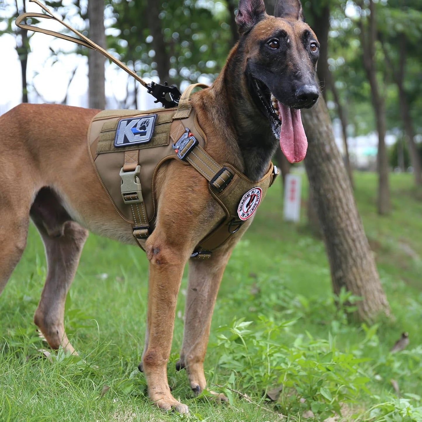 Large Tactical Dog Harness with Dual Metal Buckles, MOLLE Vest Design, No-Pull Front Leash Clip, and Hook and Loop Panel (Brown, Size L, Single Pack)