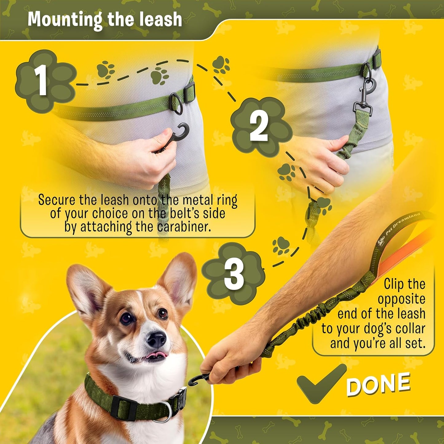 Premium Hands-Free Waist Leash for Medium Dogs: Optimal Comfort and Freedom for Running, Walking, and Hiking