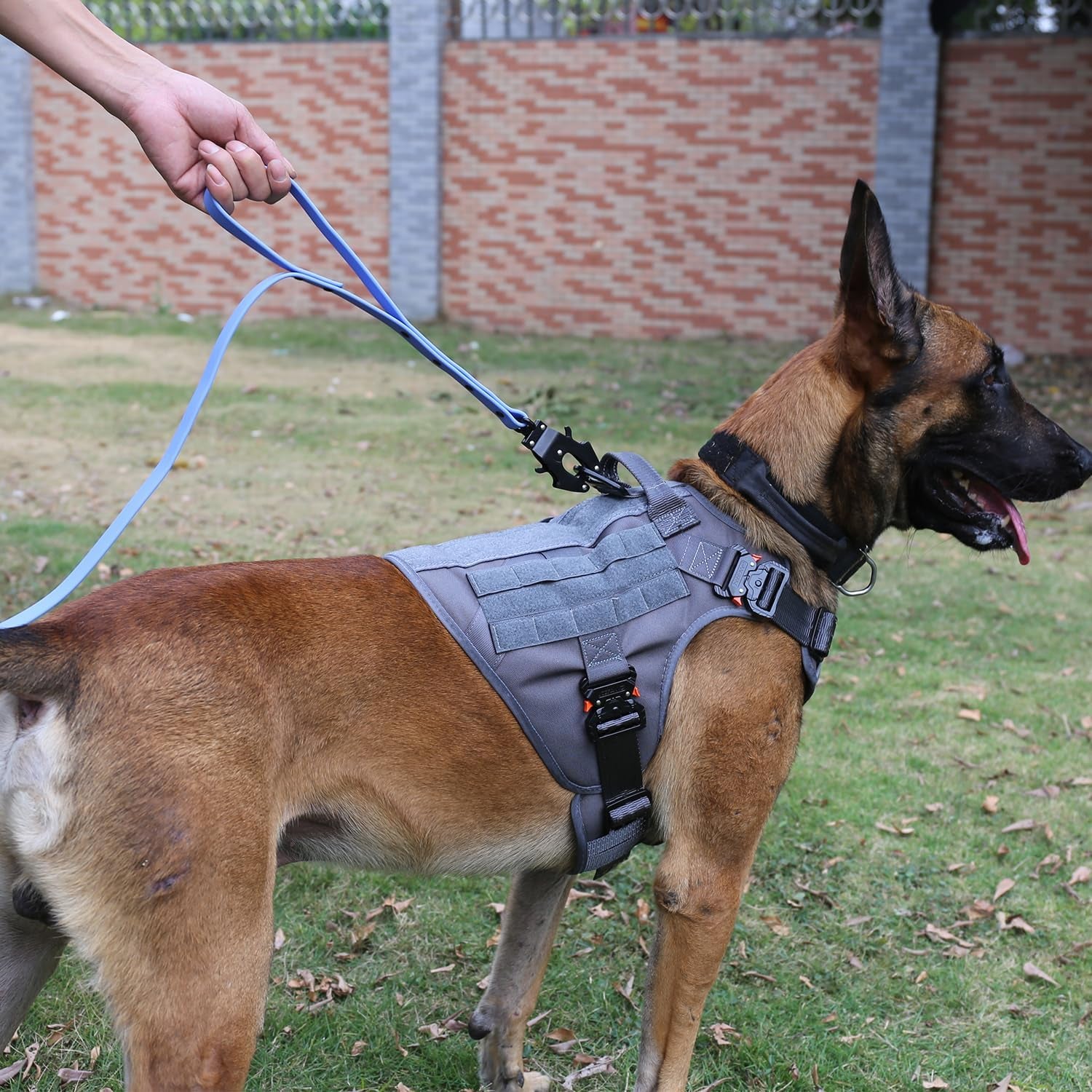 Professional Tactical Dog Harness with 4X Metal Buckles, MOLLE K9 Vest for Working Dogs, No-Pull Front Clip, Adjustable Harness for Medium Dogs (Chest Size 25"-31"), Grey