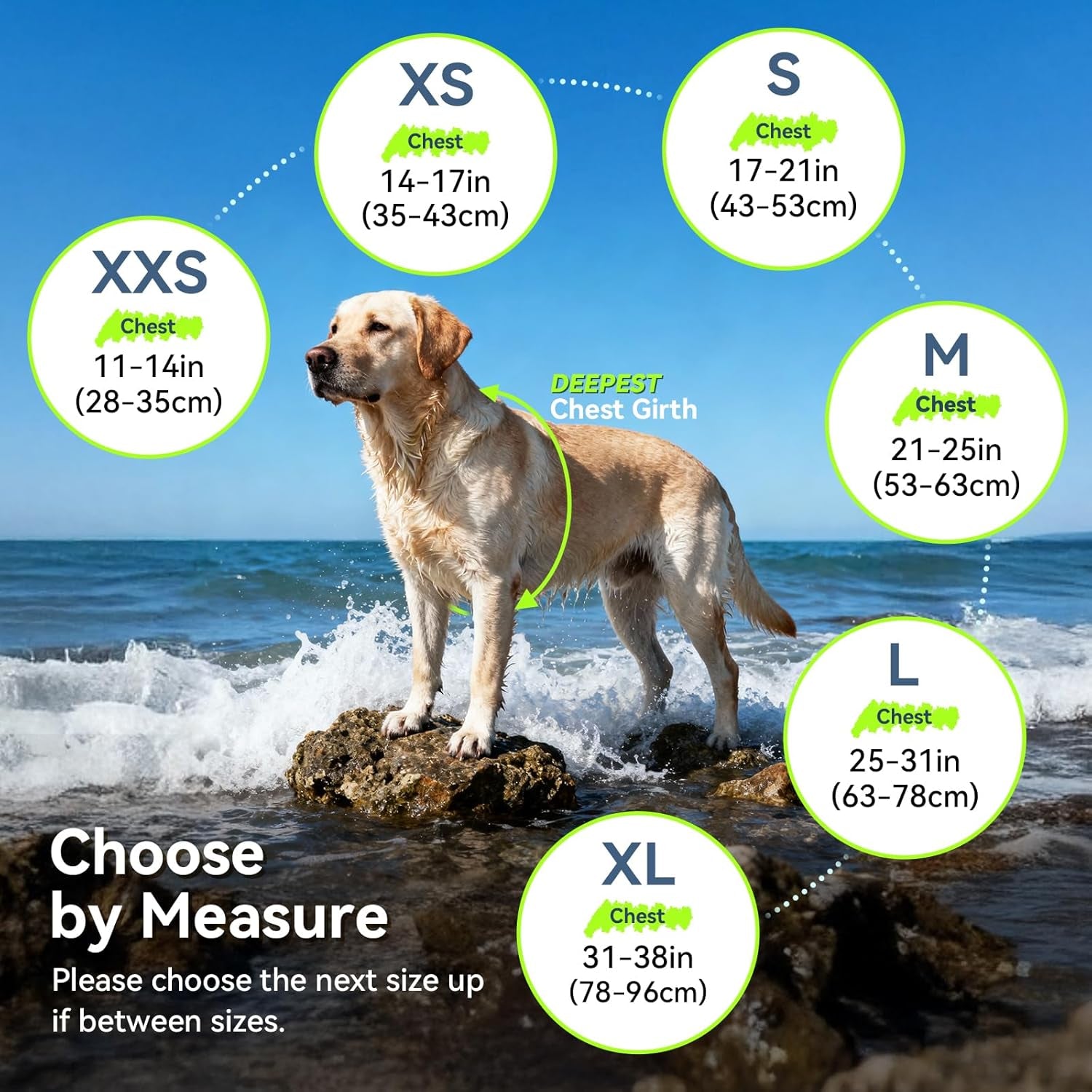 Front Float Dog Life Vest, Dog Life Jacket for Swimming & Boating, Swimming Vest with Chin Float & Handle, Ripstop & Buoyancy