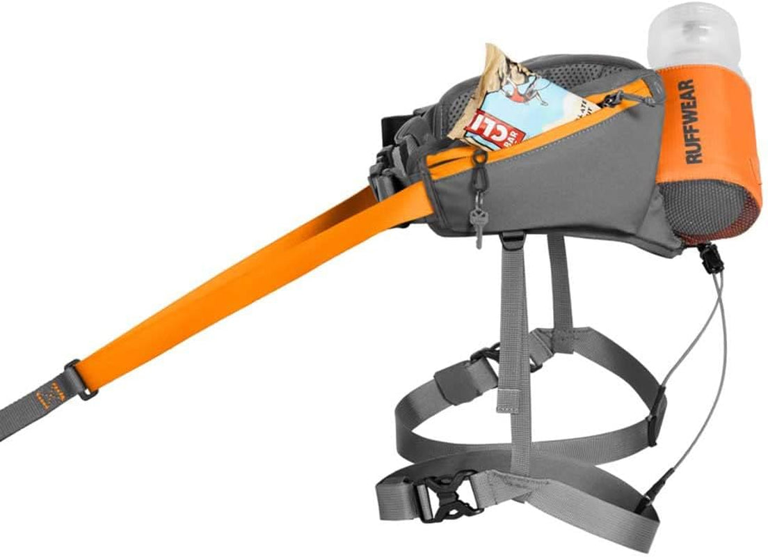 Omnijore Dog Joring System: Harness, Hip Belt, and Towline for Skiing, Skateboarding, and Biking - Orange Poppy, Large/X-Large
