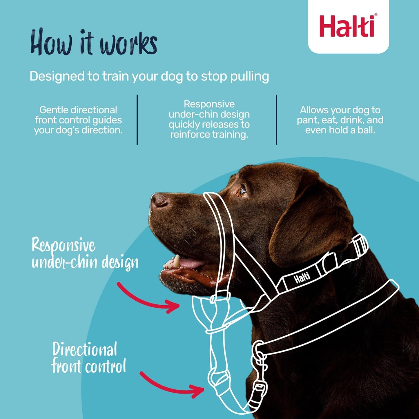 Halti  Head Collar for Dogs, Size 3, Black