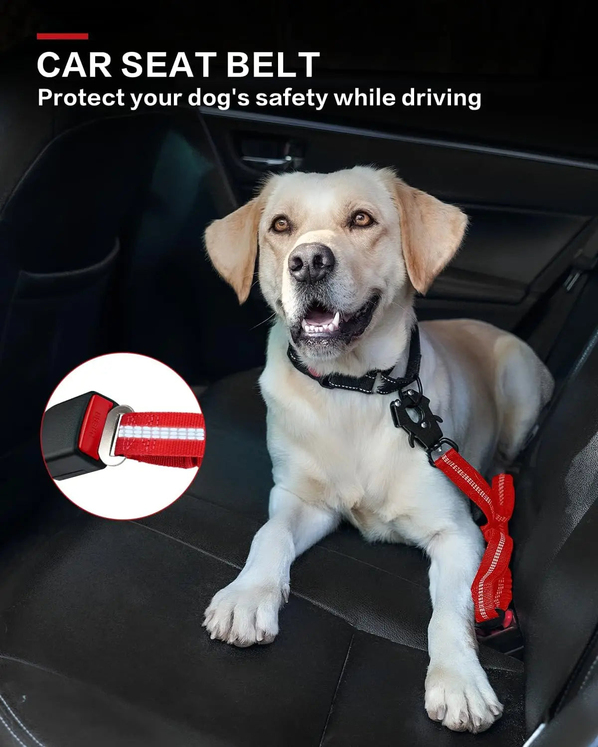 Heavy-Duty Tactical Dog Leash, 4-6FT Shock Absorbing Bungee Lead with Dual Padded Handles, Metal Carabiner Clip, and Car Seatbelt Attachment