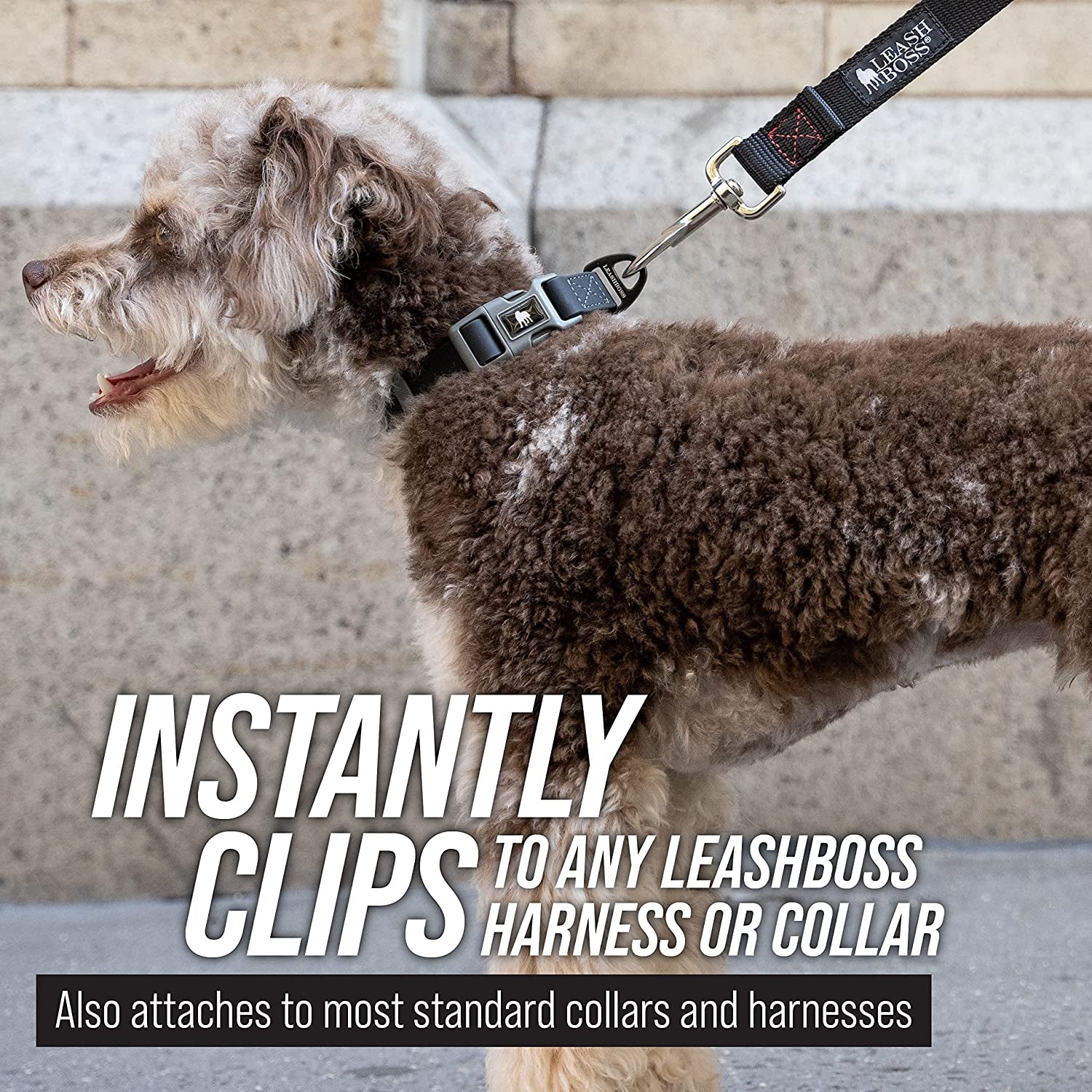 Long Trainer - 20 Ft Black Nylon Dog Training Leash with Storage Strap