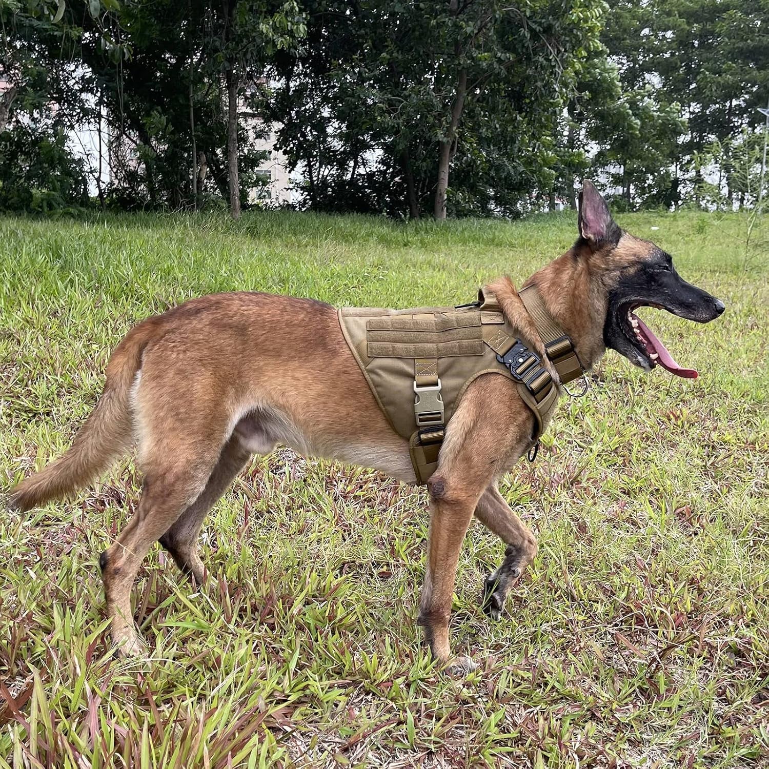 X-Large Tactical Dog Harness with Dual Metal Buckles, MOLLE Vest Design, No-Pull Front Leash Clip, and Hook and Loop Panel