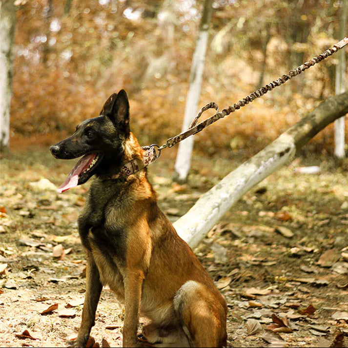 2" Wide Tactical Heavy Duty Nylon Large Dog Collar K9 Military with Metal Buckle
