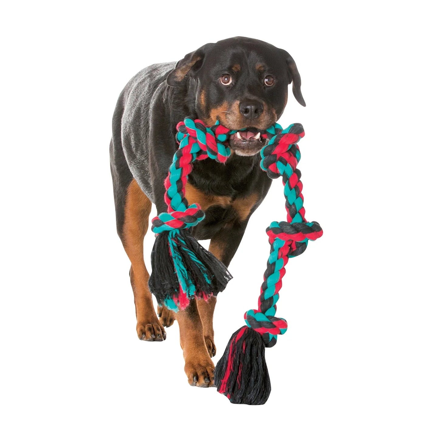 Cottonblend 3 Knot Tug Rope Dog Toy, Extra-Large, 36", Assorted Colors