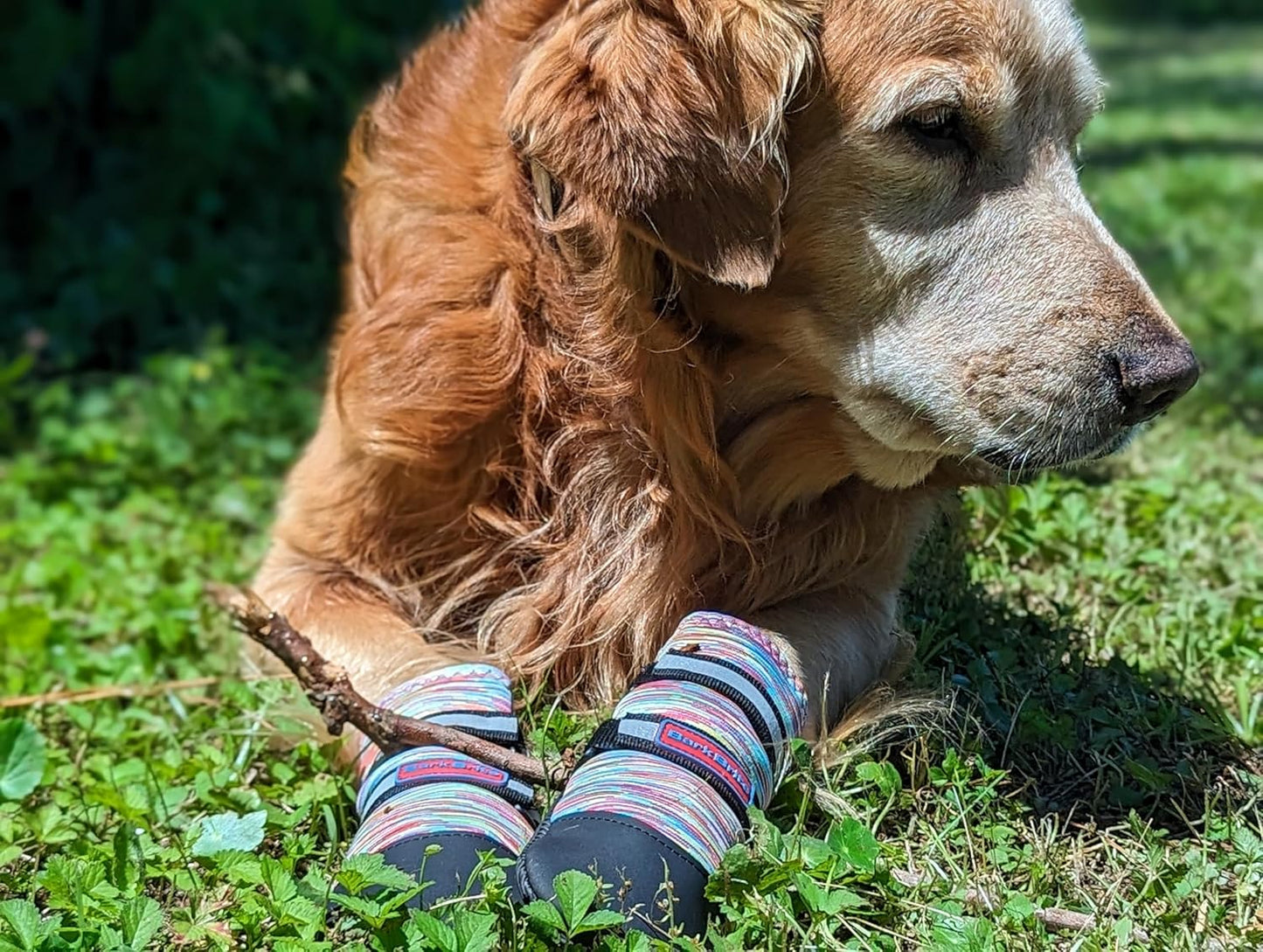 All Weather Neoprene Paw Protector Dog Boots with Reflective Straps in 5 Sizes! (Multicolor Small)
