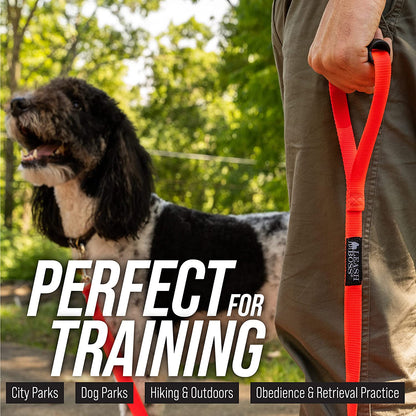 Long Trainer - 20 Ft Black Nylon Dog Training Leash with Storage Strap