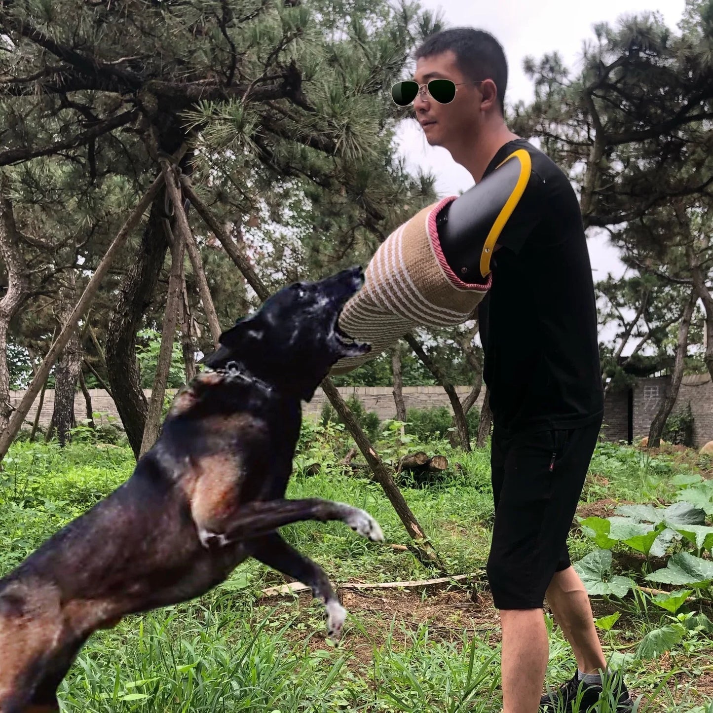 Thickened Dog Bite Sleeves for Malinois and German Shepherd Training - Agility Equipment and Tug Toys for Professional Canine Training