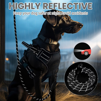 Premium Adjustable No-Pull Dog Harness and Leash Set with Reflective Soft Padding and Handle for Small to Large Breeds