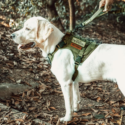 Tactical No-Pull Dog Harness - Breathable Adjustable Pet Vest with Handle for Outdoor Use (Ranger Green, Small)