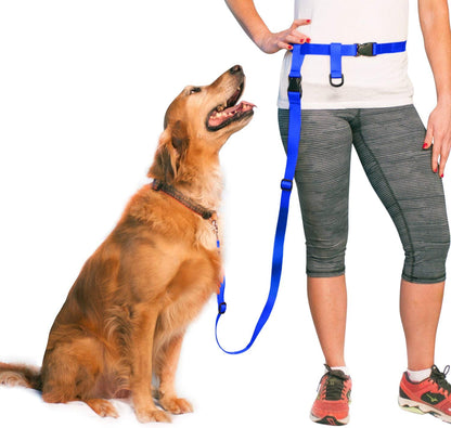 Adjustable Hands-Free Dog Leash for Running, Jogging, Training, and Service Dogs - Compatible with Small, Medium, and Large Breeds - Made in the USA (Royal Blue, Large Belt 27"-50" Waist)
