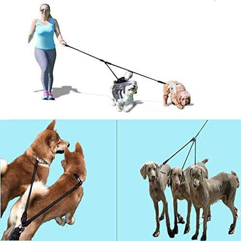 Heavy-Duty 3-Dog Leash with Detachable 360° Swivel Device and Padded Handle for Two to Three Pets (30-200 lbs)