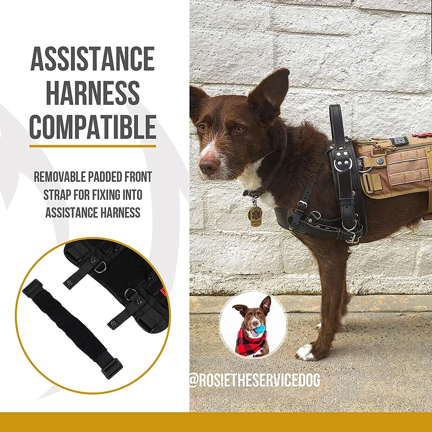 Large Service Dog Harness with Removable Neck Strap and Handle - Short Version (Black)