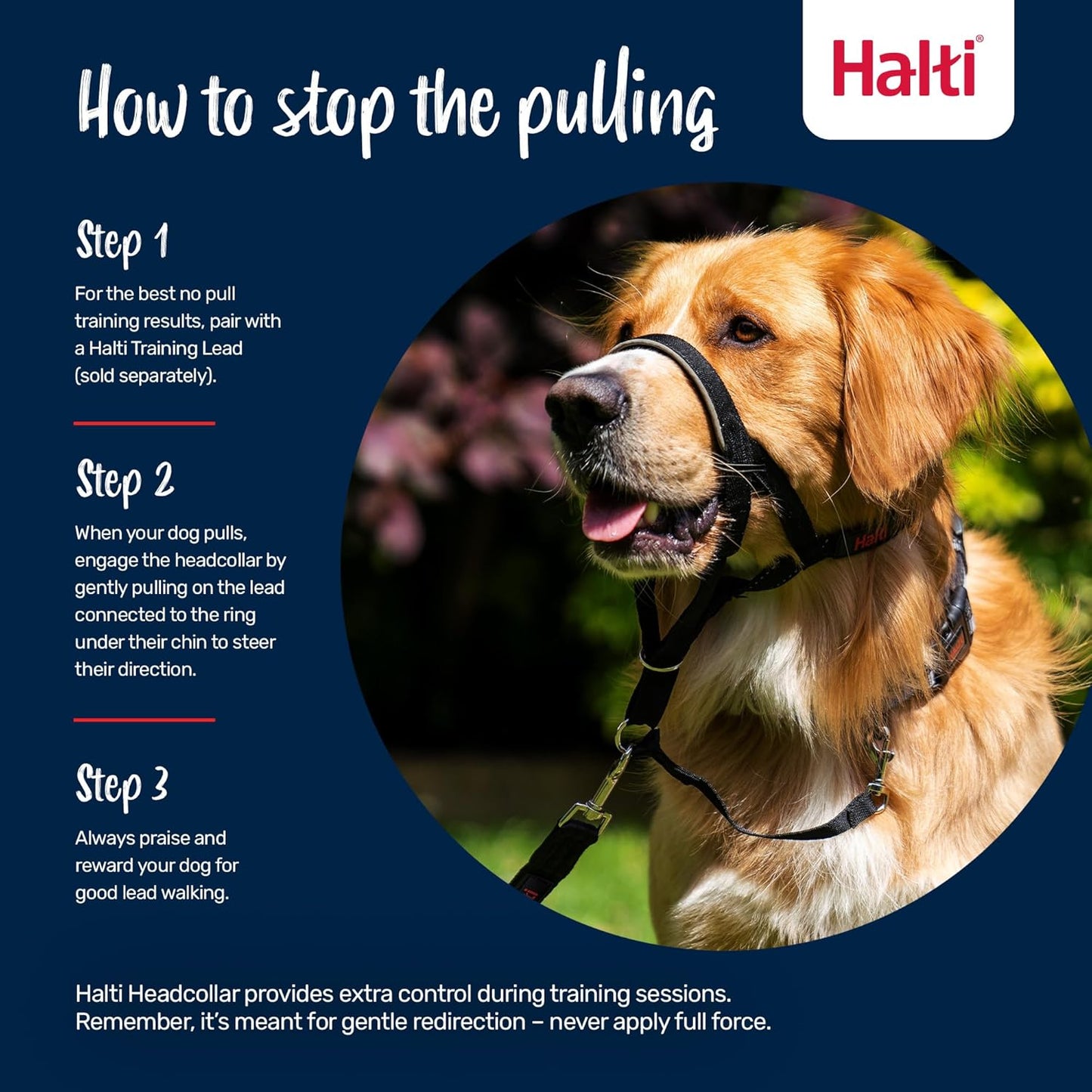 Halti  Head Collar for Dogs, Size 3, Black