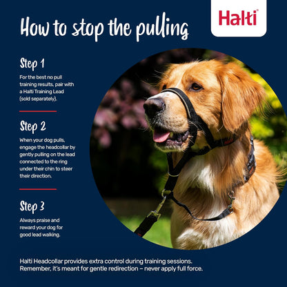 Halti  Head Collar for Dogs, Size 3, Black
