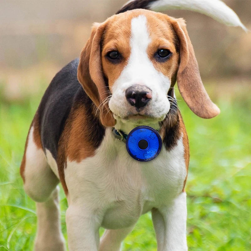 USB Rechargeable LED Safety Pendant for Dogs and Cats - Portable Night Walking Collar Accessory