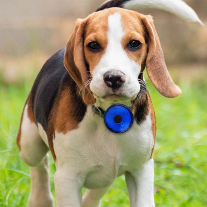 USB Rechargeable LED Safety Pendant for Dogs and Cats - Portable Night Walking Collar Accessory
