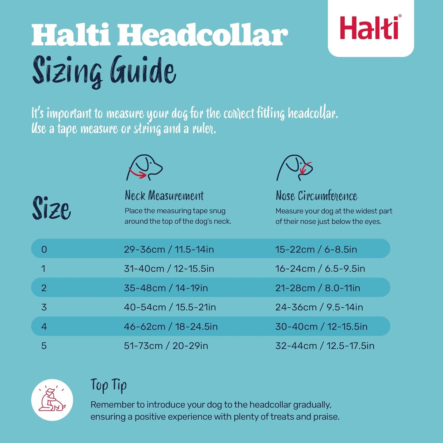 Halti  Head Collar for Dogs, Size 3, Black