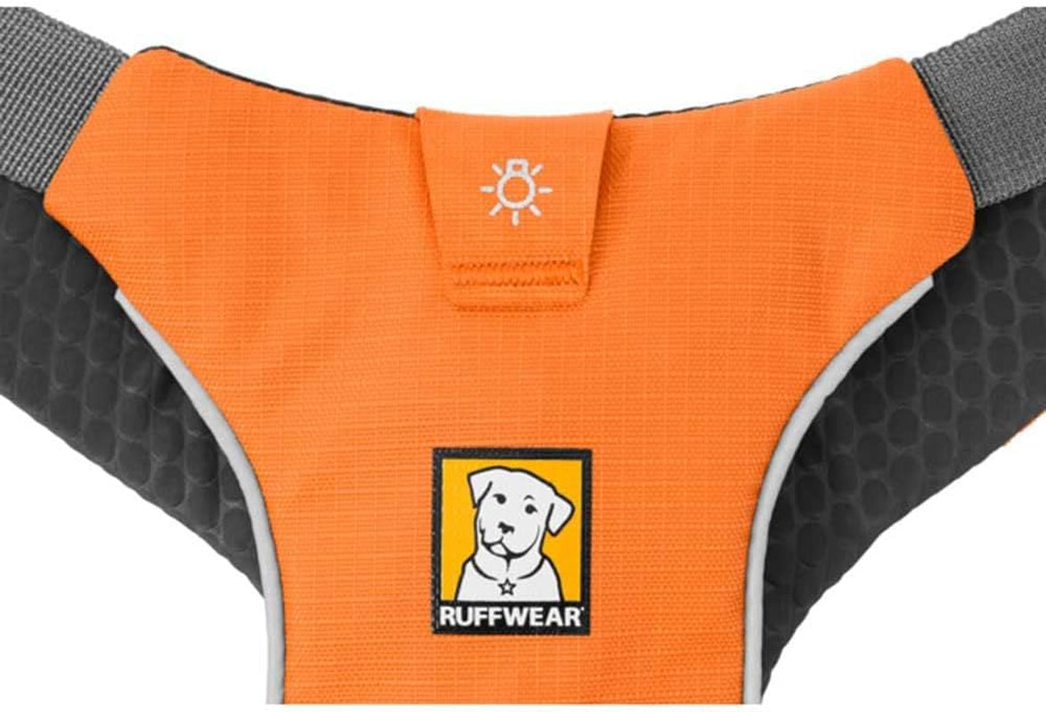 Omnijore Dog Joring System: Harness, Hip Belt, and Towline for Skiing, Skateboarding, and Biking - Orange Poppy, Large/X-Large