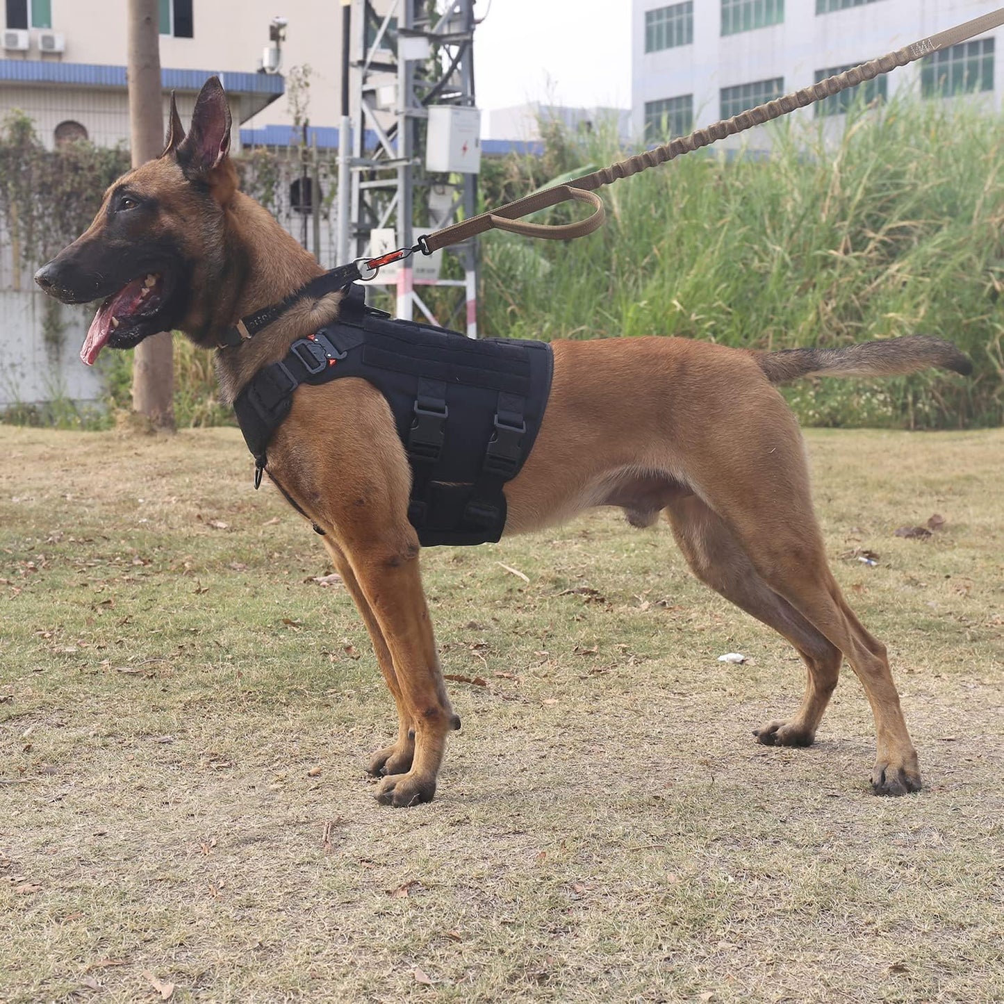 GN5 Tactical Dog Harness for Extra-Large Dogs, MOLLE Vest with Hook and Loop Panels, Front Leash Clip, and Handle for Walking and Training (XL: Chest 32"-39", Black)