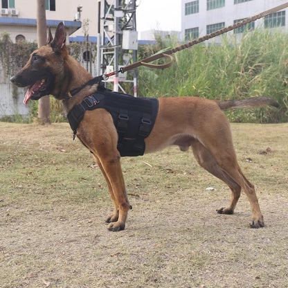 GN5 Tactical Dog Harness for Extra-Large Dogs, MOLLE Vest with Hook and Loop Panels, Front Leash Clip, and Handle for Walking and Training (XL: Chest 32"-39", Black)