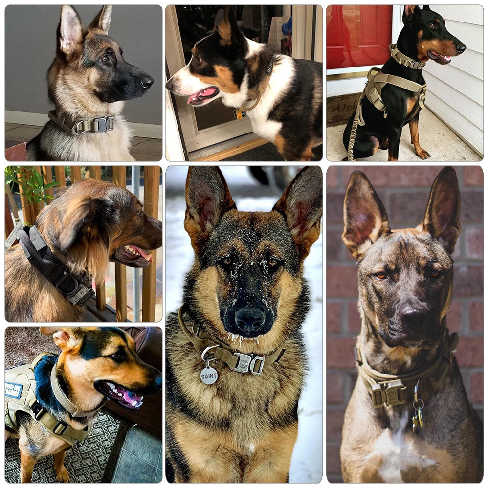 Adjustable Tactical Dog Training Collar and Leash Set with Control Handle for Small to Large Dogs
