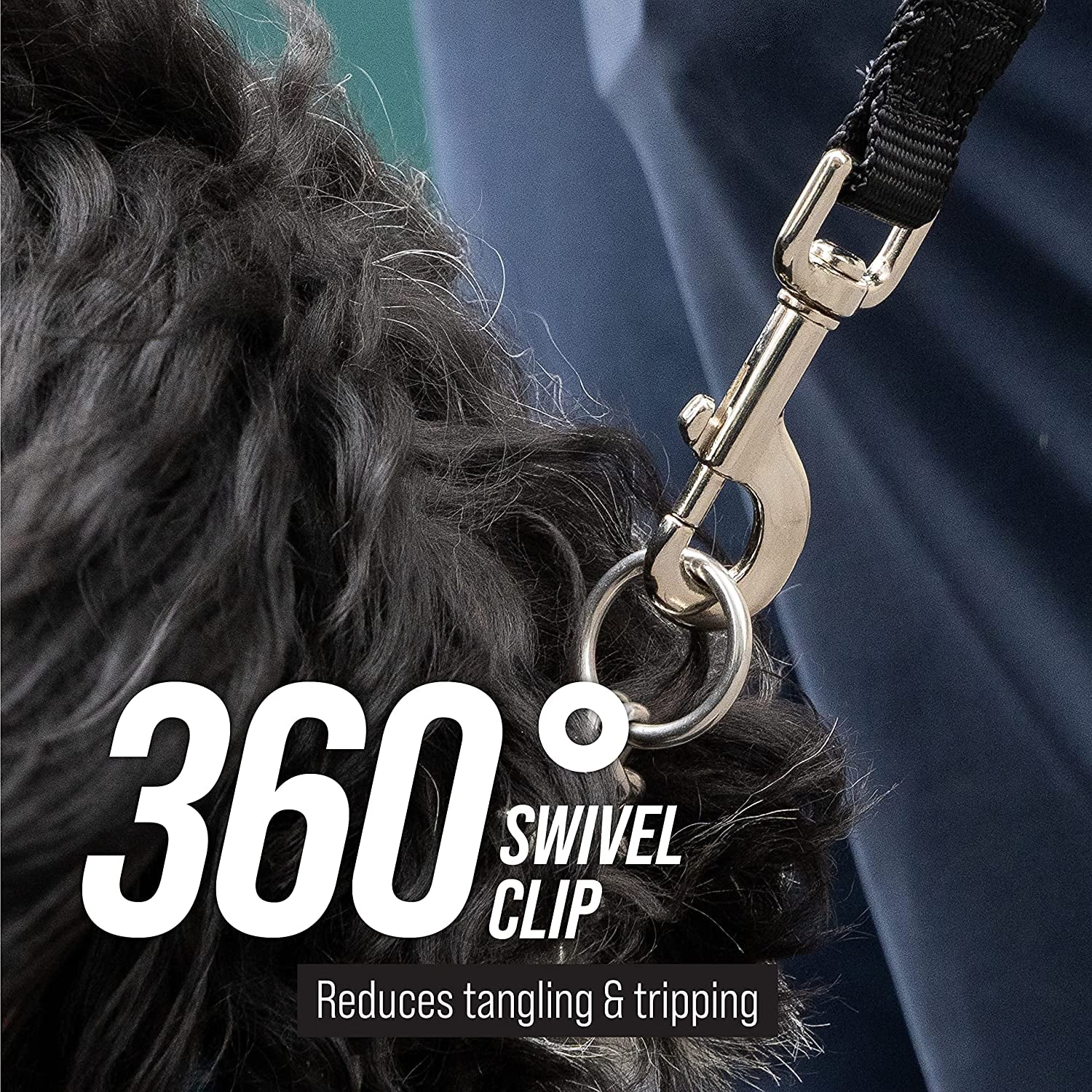 Long Trainer - 20 Ft Black Nylon Dog Training Leash with Storage Strap