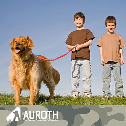 Heavy-Duty Bungee Dog Leash for Large Breeds - 6FT with Dual Padded Handles, Shock Absorption, and No-Pull Training - Red