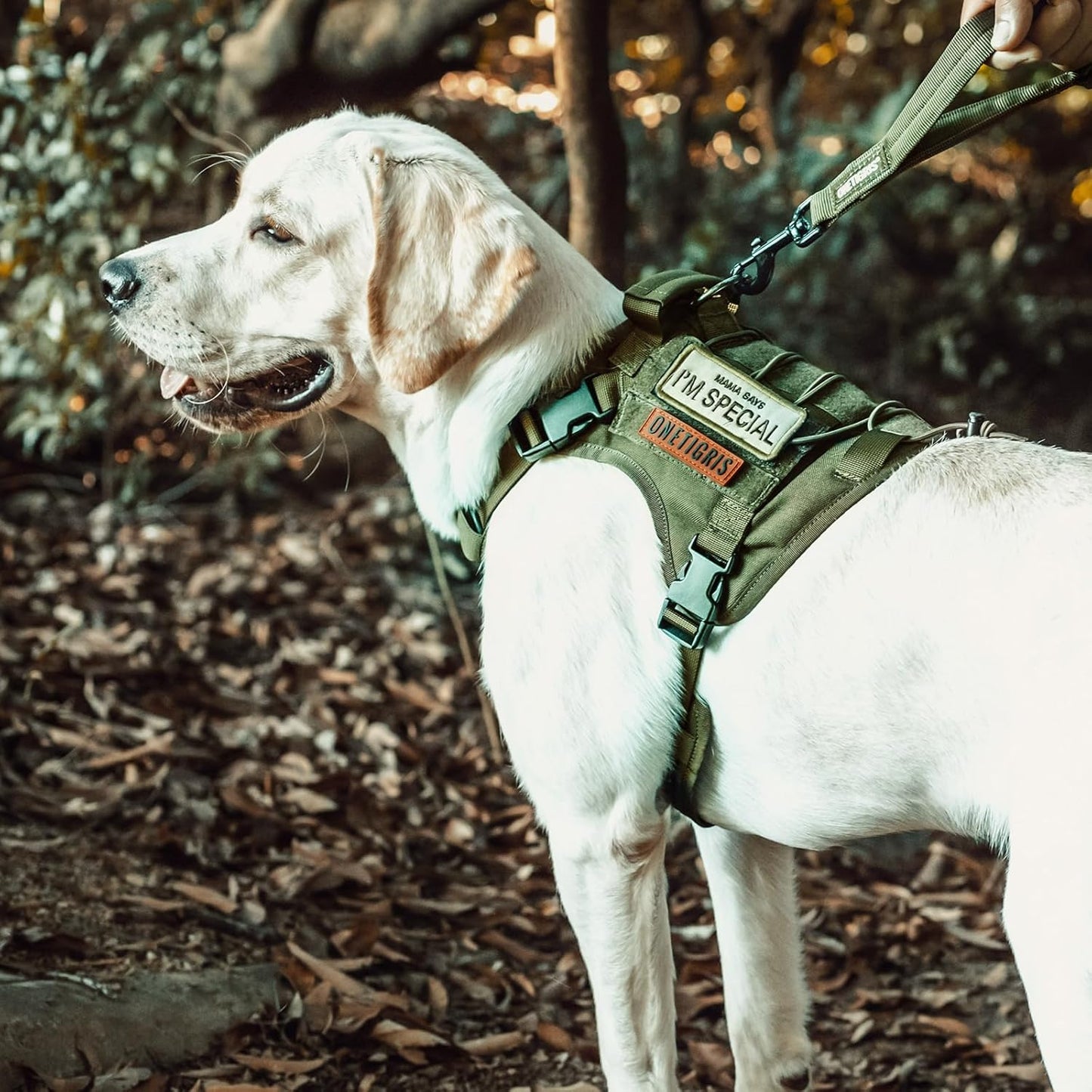 Tactical No-Pull Dog Harness - Breathable Adjustable Pet Vest with Handle for Outdoor Use (Ranger Green, Small)