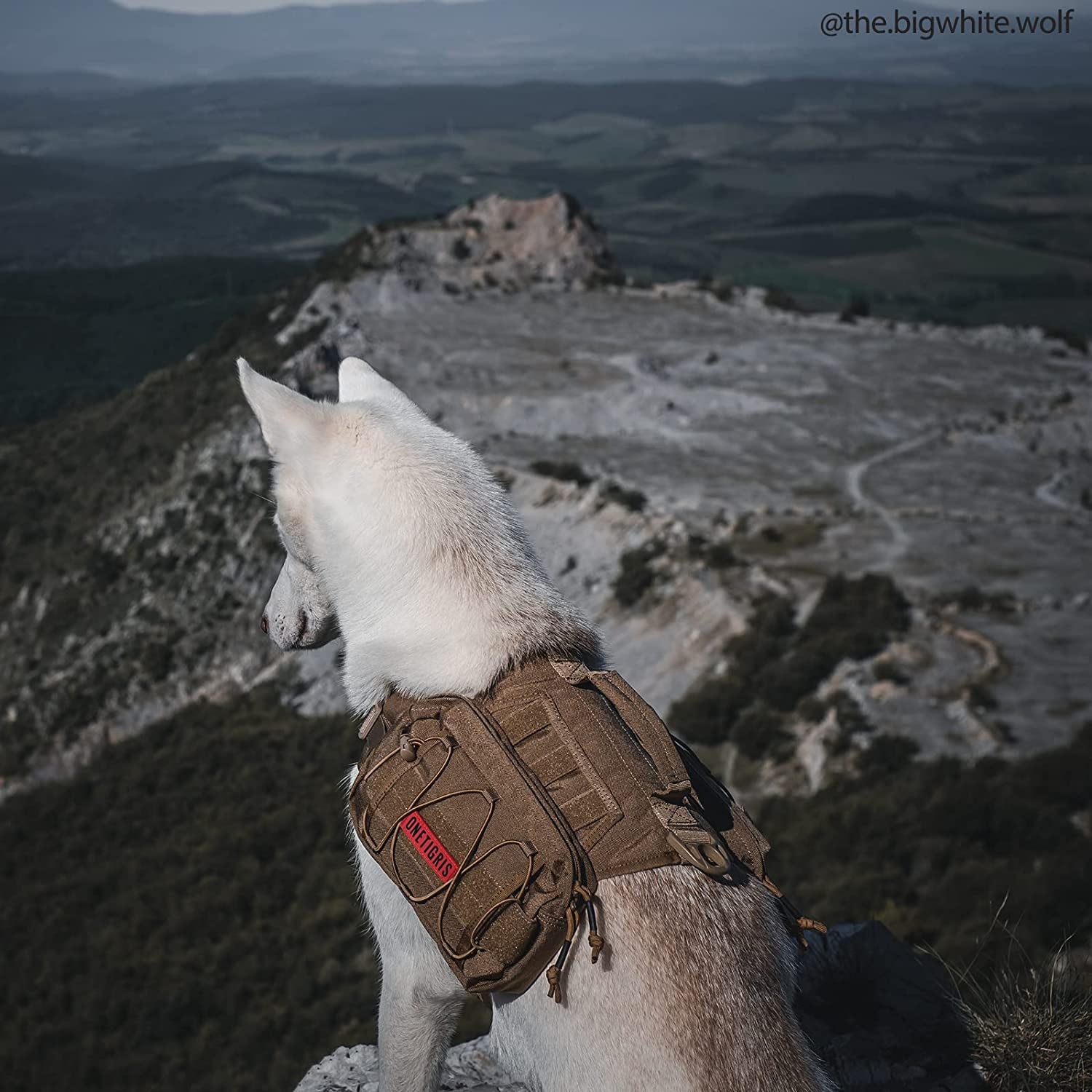 Tactical Nylon Dog Backpack for Medium and Large Breeds with Side Pockets for Hiking, Walking, Training, and Running (Brown, Medium)