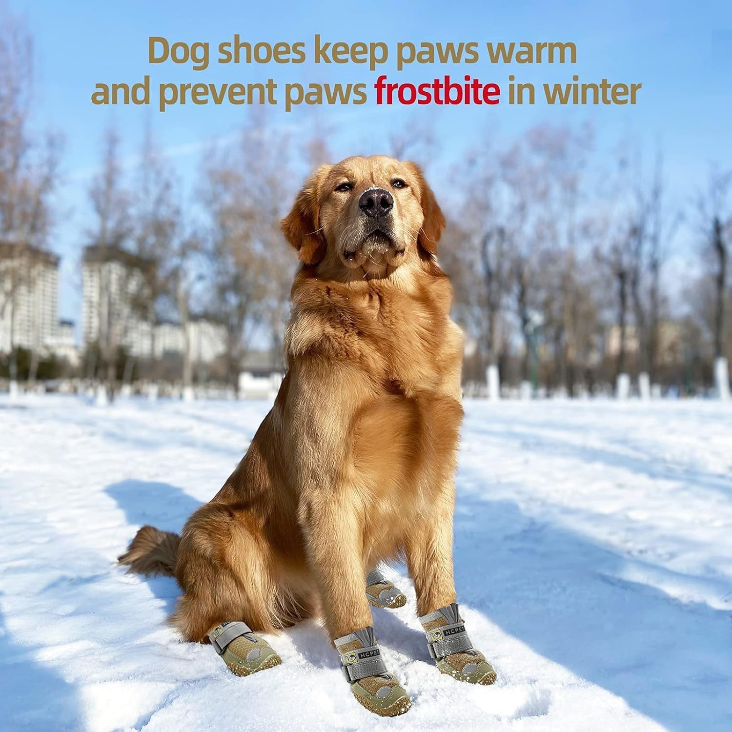 Dog Boots for Large Dogs, Medium Dog Boots & Paw Protectors for Hardwood Floors, Outdoor Dog Booties for Hot Pavement Winter Snow Hiking, Dog Shoes with Reflective Strips