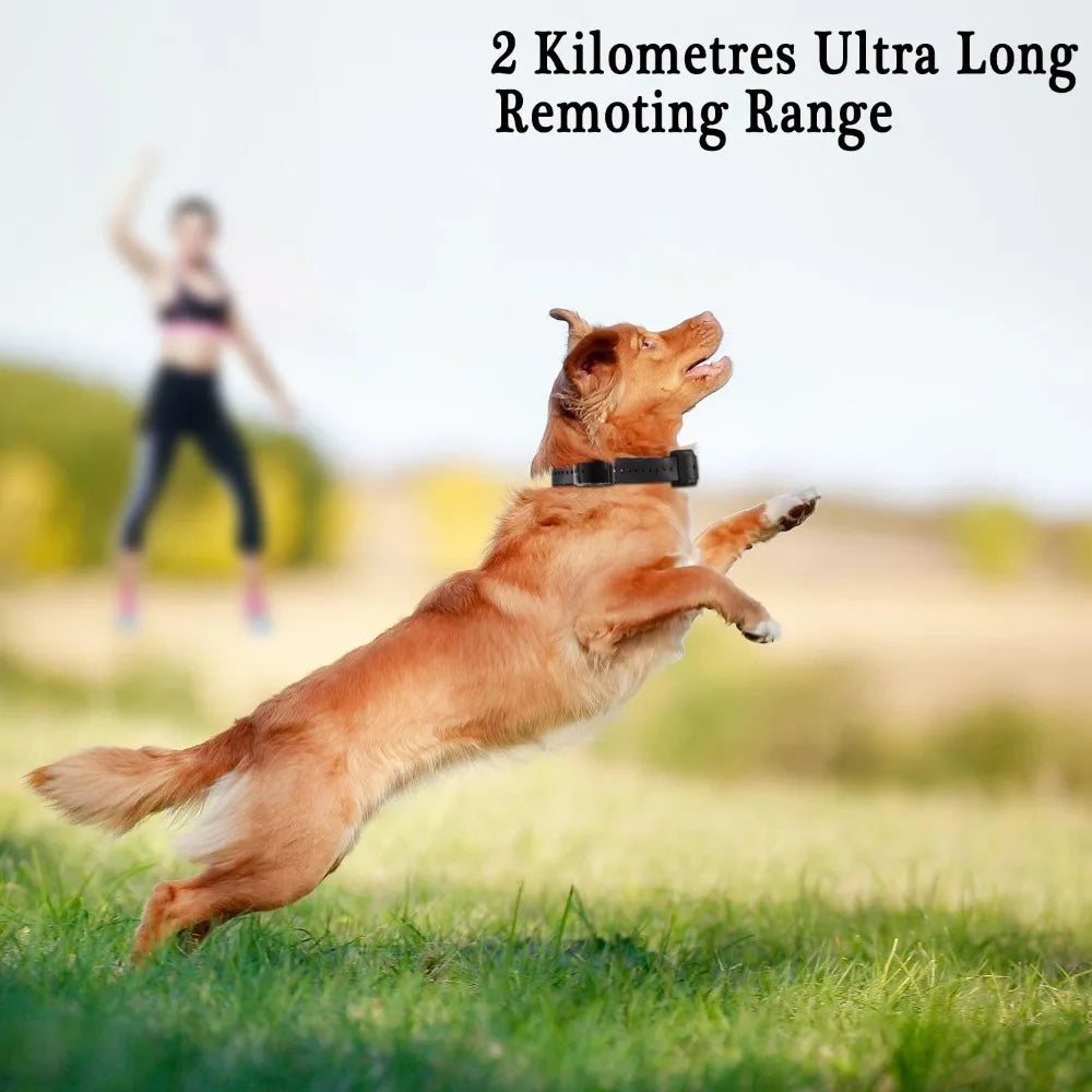 Electronic Dog Training Collar with Remote Control, 2000M Range, Waterproof Design for All Dog Sizes