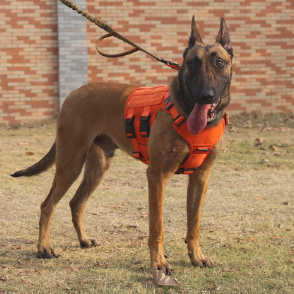 GN5 Tactical Dog Harness for Medium Dogs - MOLLE Vest with Hook and Loop Panels, Handle, and No-Pull Front Leash Clip (Chest Size: 25"-31", Orange)