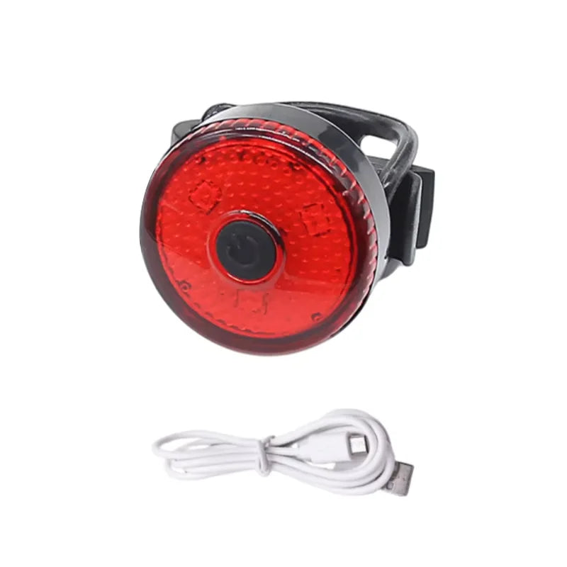 USB Rechargeable LED Safety Pendant for Dogs and Cats - Portable Night Walking Collar Accessory
