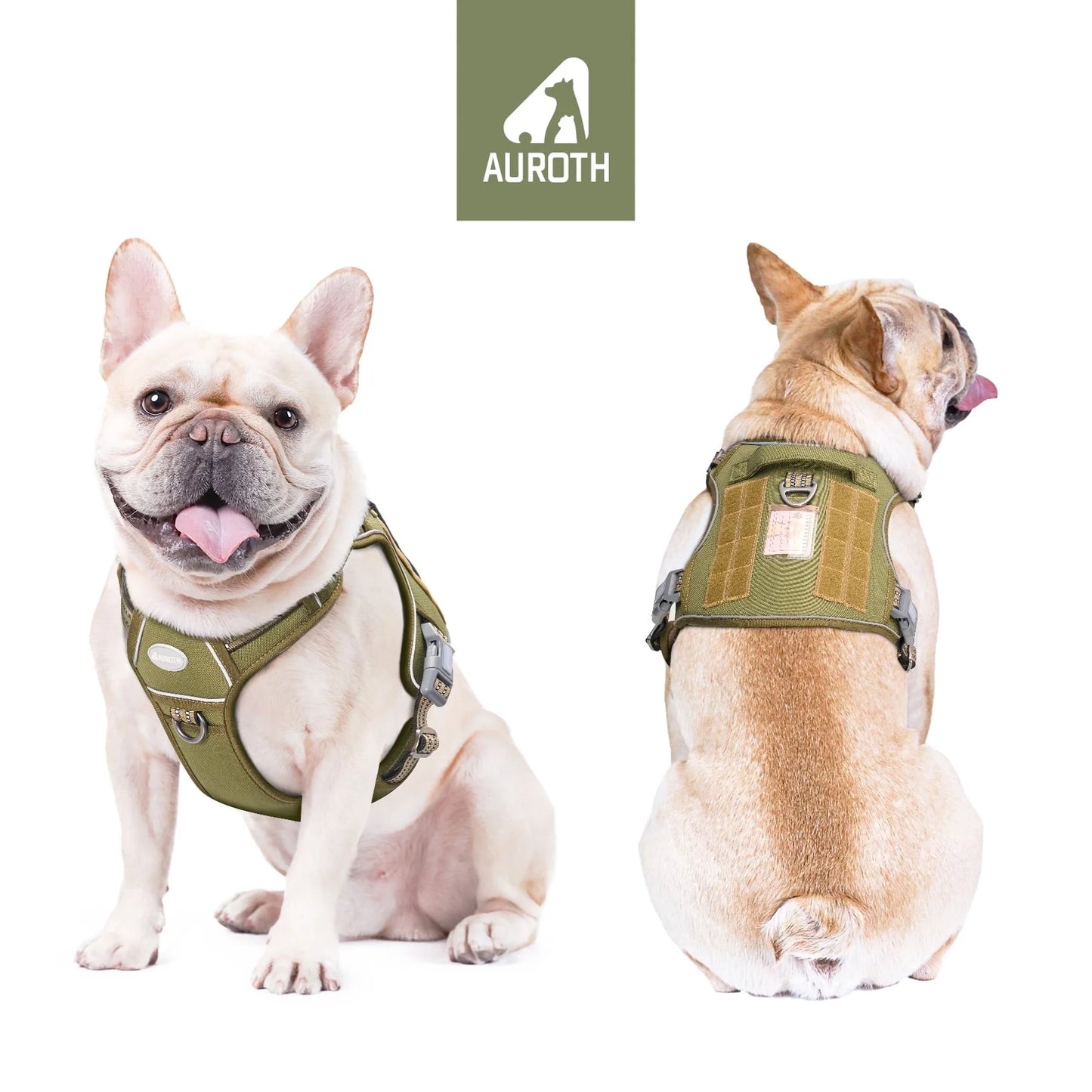 Adjustable No-Pull Dog Harness for Small Dogs with Two Leash Clips, Front Choke-Free Design, Reflective Soft Padded Vest for Training and Walking - Green