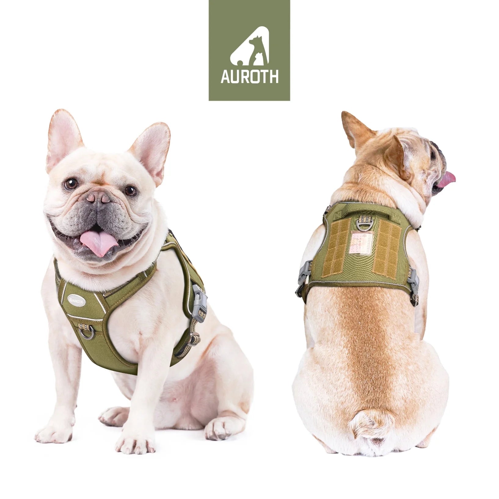 Adjustable No-Pull Dog Harness for Small Dogs with Two Leash Clips, Front Choke-Free Design, Reflective Soft Padded Vest for Training and Walking - Green