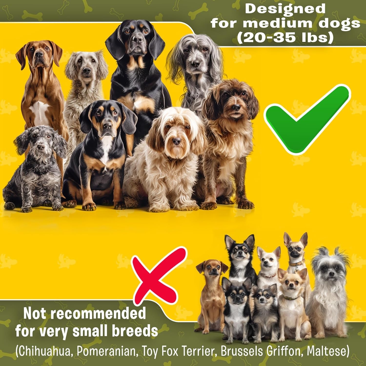 Premium Hands-Free Waist Leash for Medium Dogs: Optimal Comfort and Freedom for Running, Walking, and Hiking