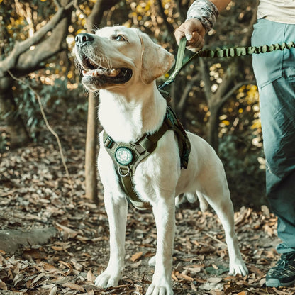 Tactical No-Pull Dog Harness - Breathable Adjustable Pet Vest with Handle for Outdoor Use (Ranger Green, Small)